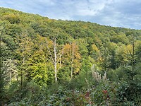 herfst