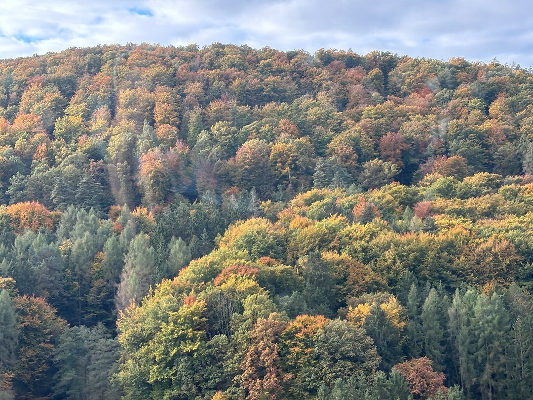 indian summer