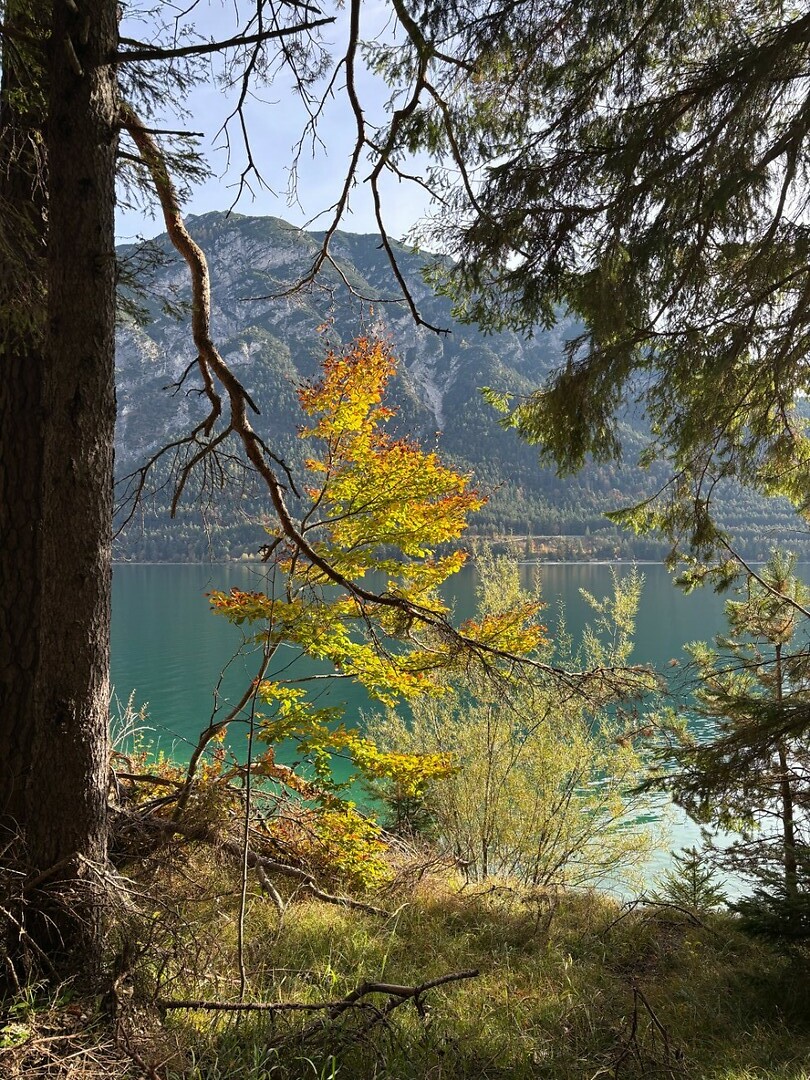 herfst bij de Achensee