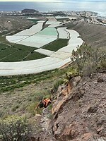 bananenplantage en Corné klautert omhoog