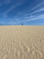 zandduinen
