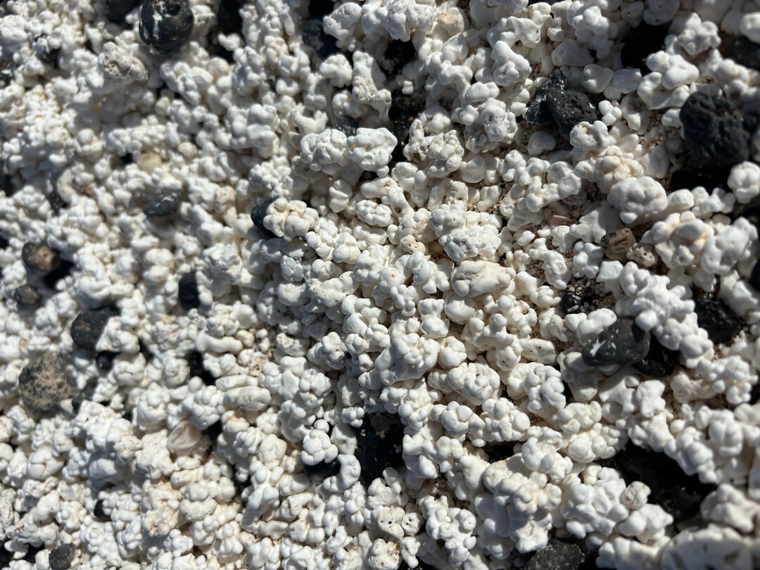 popcorn beach