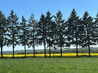 charmant plaatje
