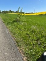 mooie kleuren onderweg
