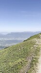 i'm on the top of the world