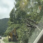 omgevallen boom wordt weggehaald