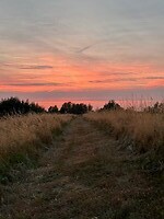 avondrood