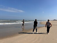 strandkuier