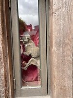mummie kat