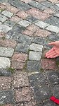 musjes op een missie