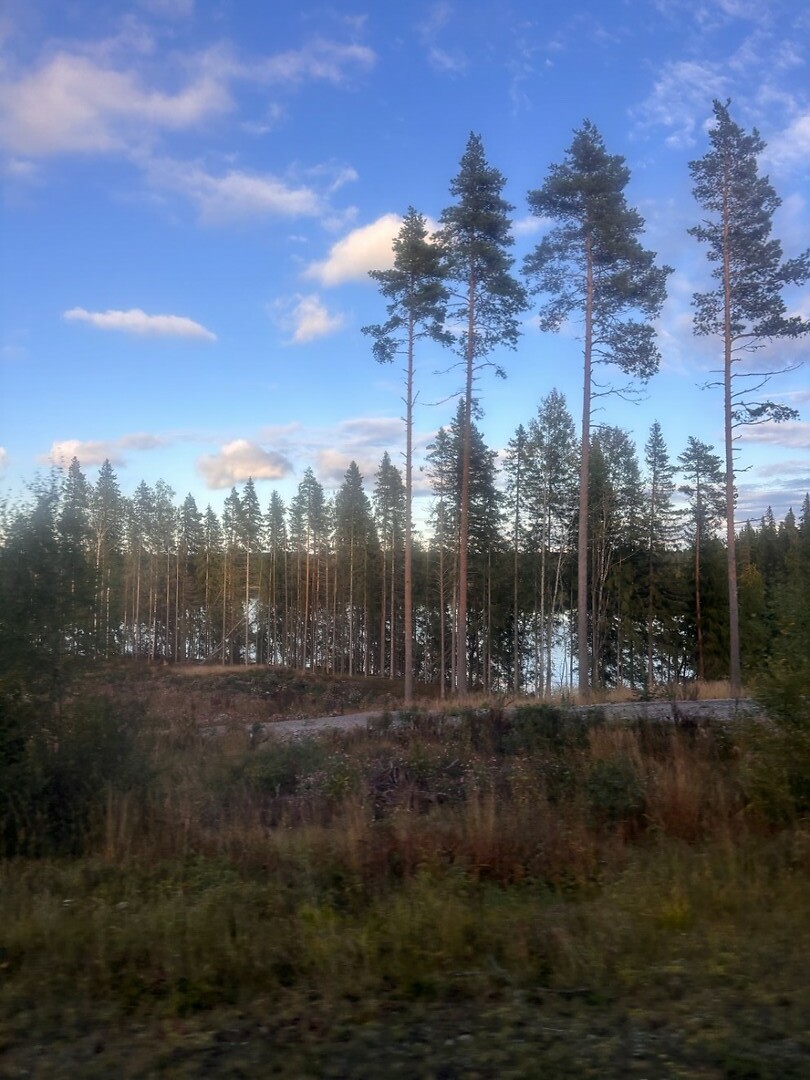 Fins uitzicht