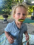 Kamperen onder een avocadoboom