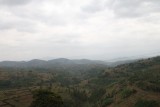 IMG_8850
