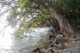 IMG_8596