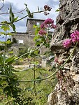 IMG_9501