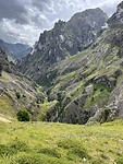 IMG_9571