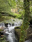 IMG_9915