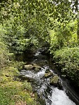 IMG_9924