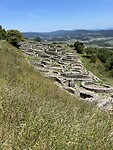 IMG_0052