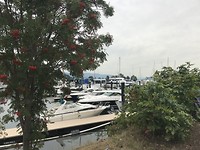 Doorkijkje jachthaven