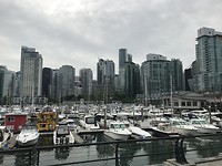 Jachthaven en skyline