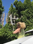 Tara knipt de heg even bij voor een uurtje extra zon!