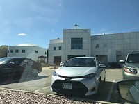 Paisley Park I