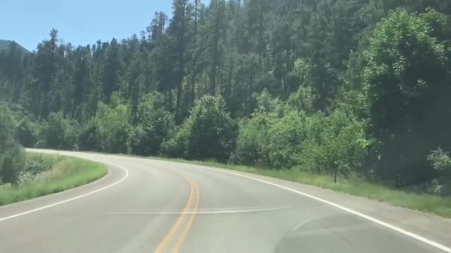 Black Hills / Spearfish Canyon