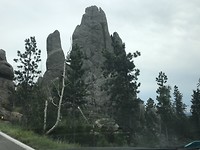 De needles