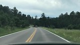 De black hills!