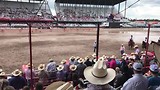 Stukje rodeo