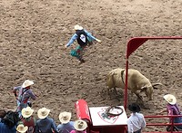 Door de lucht vliegende cowboy