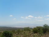 DSCN4173