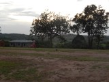 DSCN4401