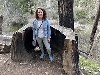 Camping wandeling Yosemite 1