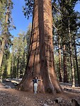 Yosemite NP Wandeling 3 (2)