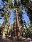 Yosemite NP Wandeling 3 (3)