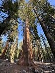 Yosemite NP Wandeling 3 (4)