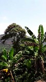 VID_54280704_142112_166