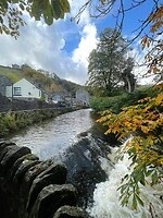 IMG_5347