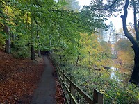IMG_5399