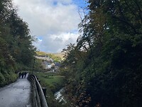 IMG_5358
