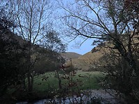 IMG_5418