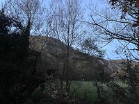 IMG_5420