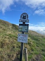 IMG_5371