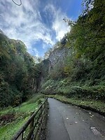 IMG_5355