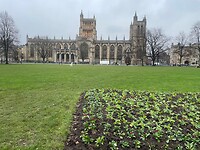 IMG_5919