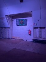 IMG_5946