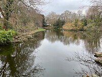 IMG_6463