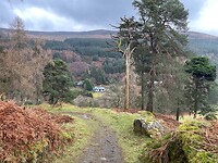 IMG_6546